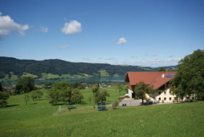 Отель Ferienhof Edtmeier, Целль-Ам-Моос